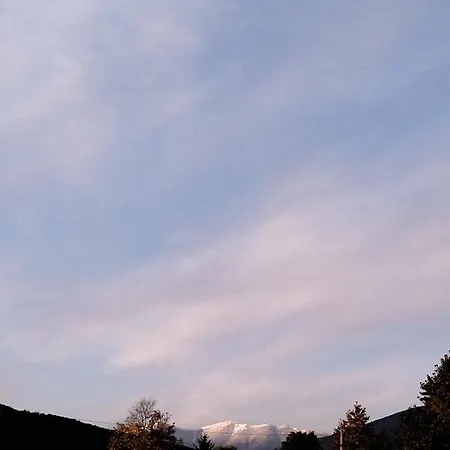 карпатський затишок Willa