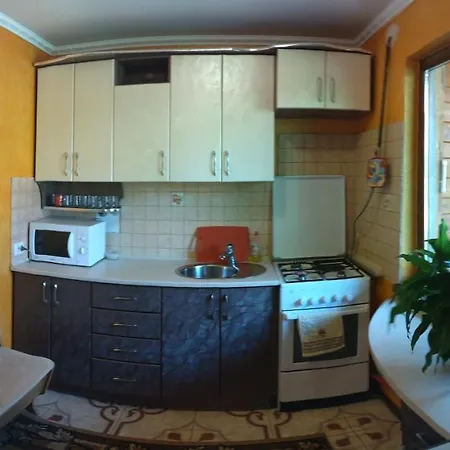 карпатський затишок Willa *