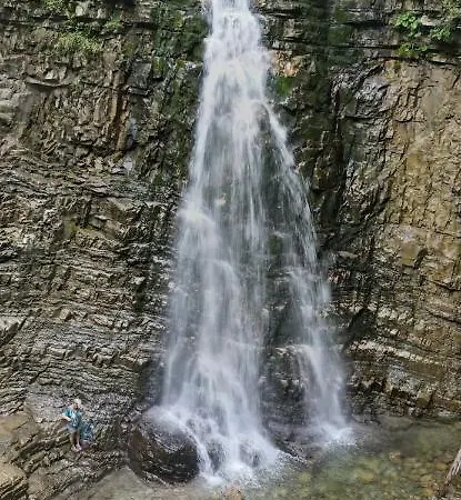 карпатський затишок Willa Guta