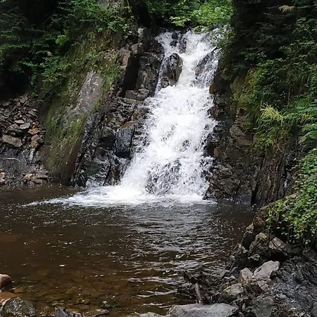 карпатський затишок Willa *